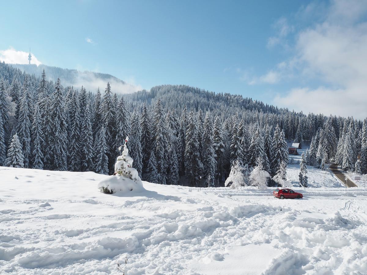 Firefly Apartments Pamporovo Dış mekan fotoğraf